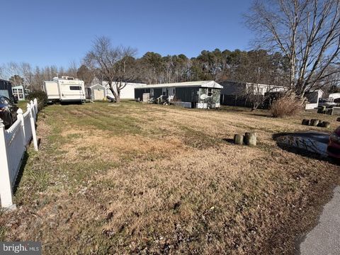 33811 PALOMINO DRIVE SELBYVILLE DE 19975