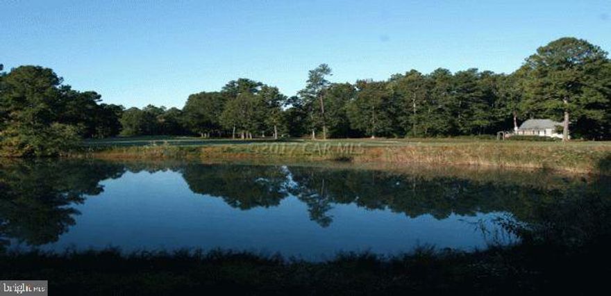 This is the sale of what was formerly Nassawango Country Club and adjoining two parcels. Tax id nos. 07-006268, 07-006292, 07-006284. Total acreage 211 acres. Main parcel is zoned A2. Secondary parcels are zoned R1. 1,370 feet on Pocomoke River. Existing Club House & furniture, fixtures & equipment included w/sale. Existing 4 acre storm water management pond & maintenance shed.