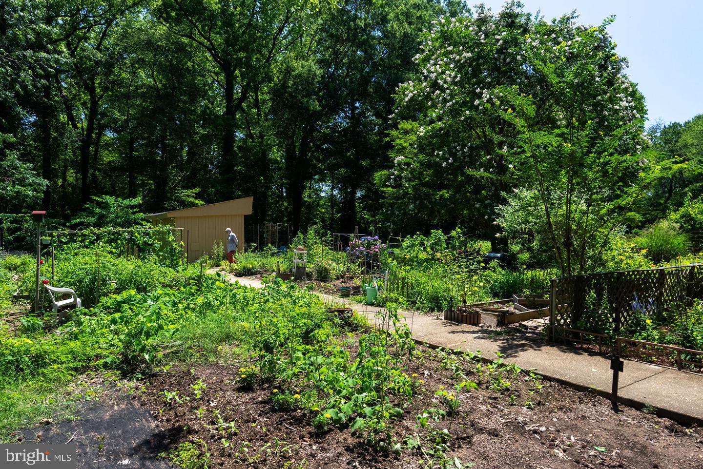 RIVER TOWERS - Residential Lease