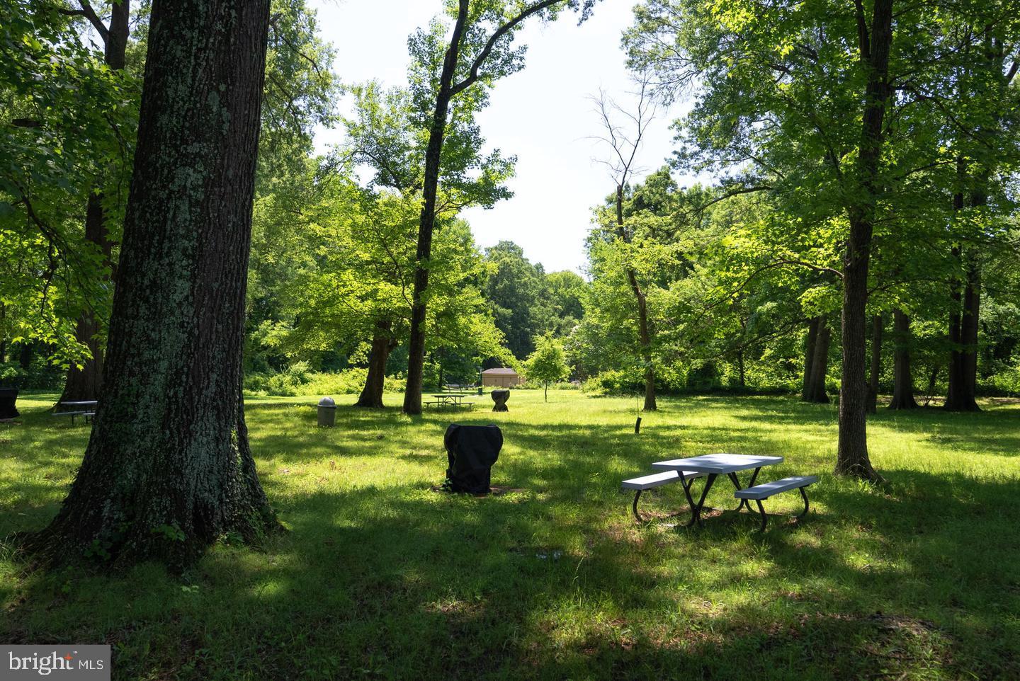 RIVER TOWERS - Residential Lease