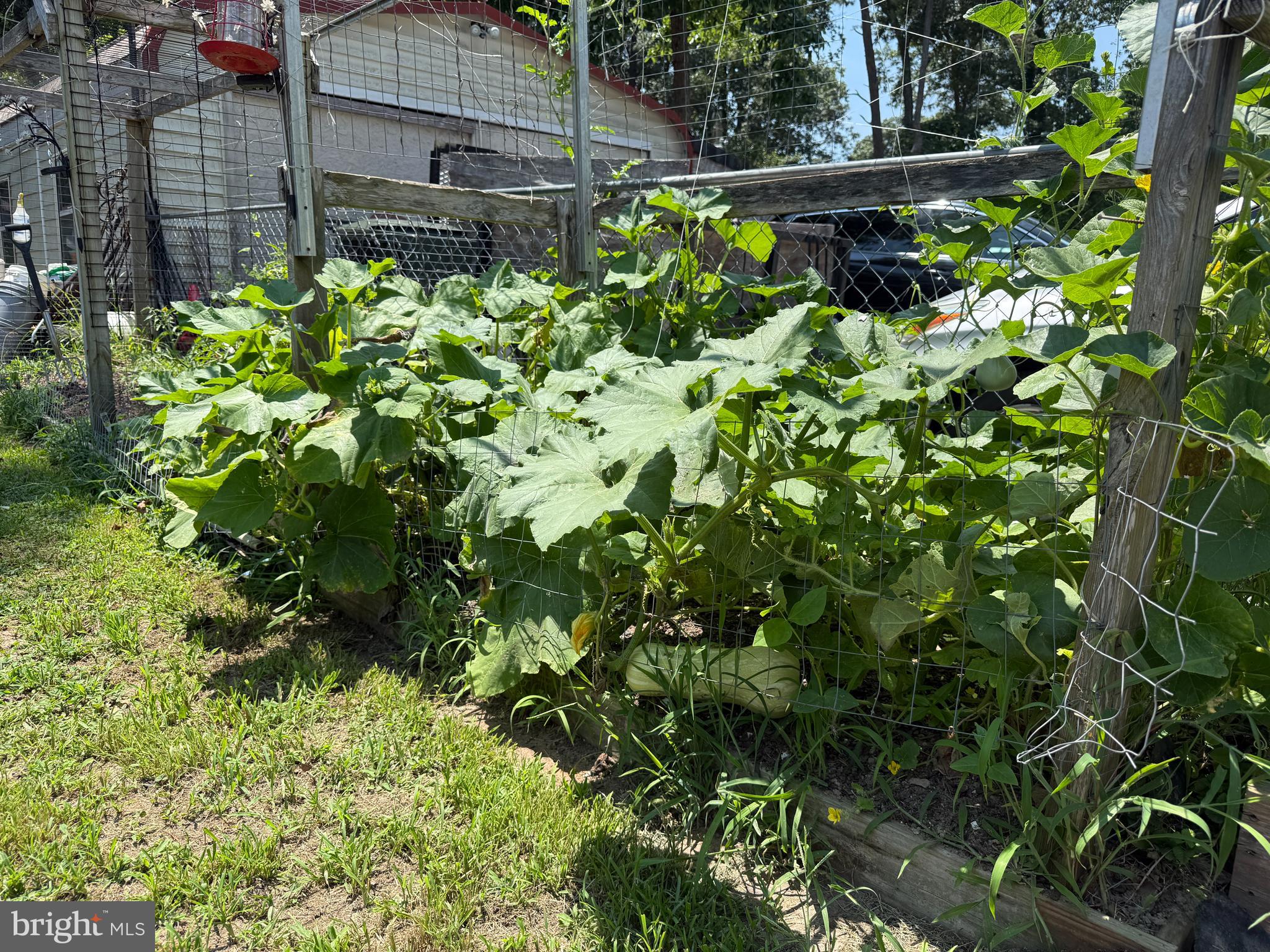 CAROLINE PINES - Residential