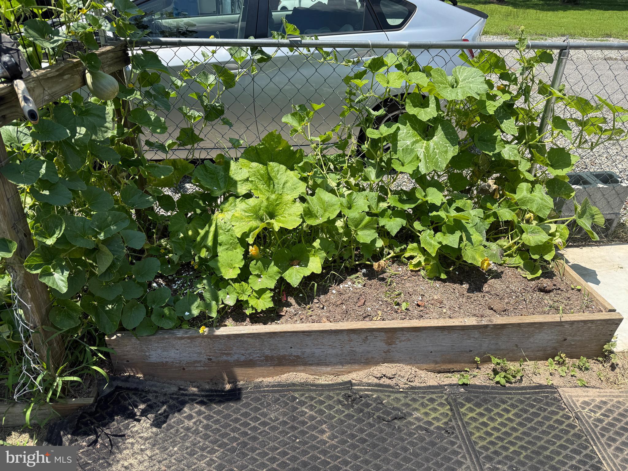 CAROLINE PINES - Residential