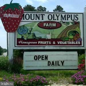 CAROLINE PINES - Residential