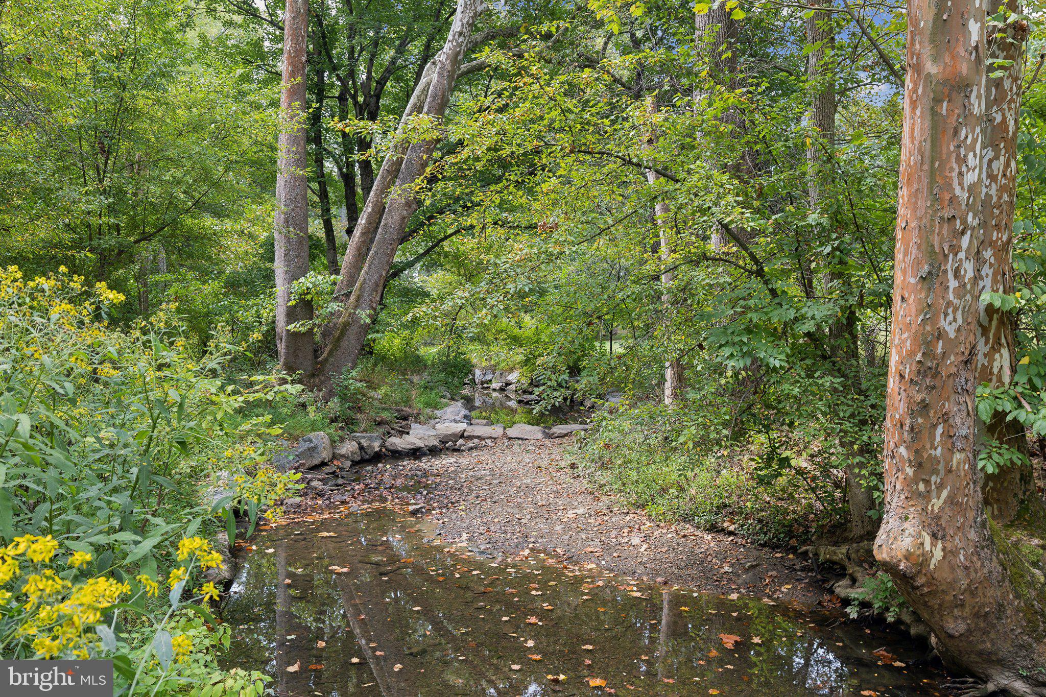 ROCKVILLE ESTATES - Residential