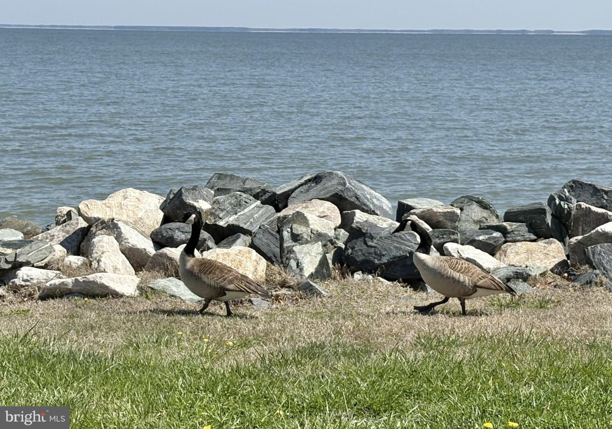 COLUMBIA BEACH - Residential