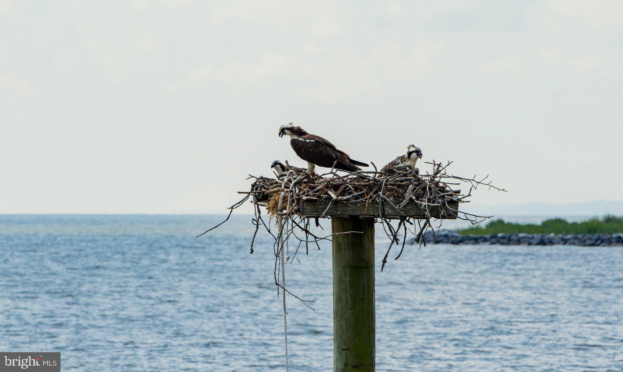 COLUMBIA BEACH - Residential