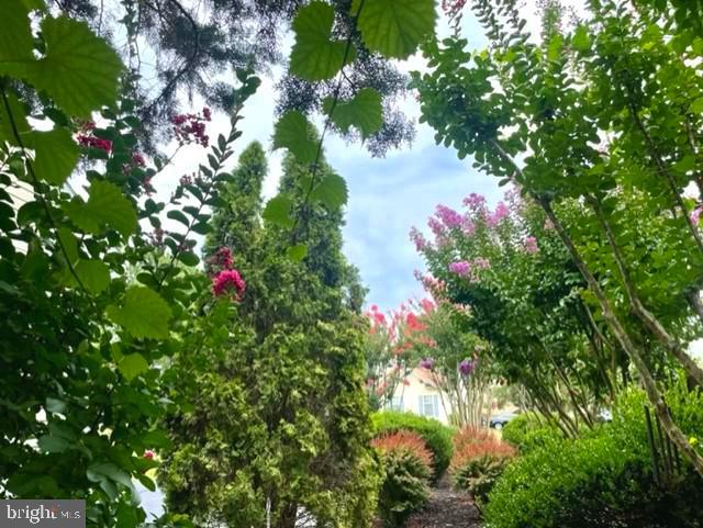 MONMOUTH VILLAGE - Residential