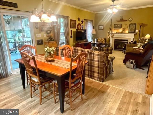 MONMOUTH VILLAGE - Residential