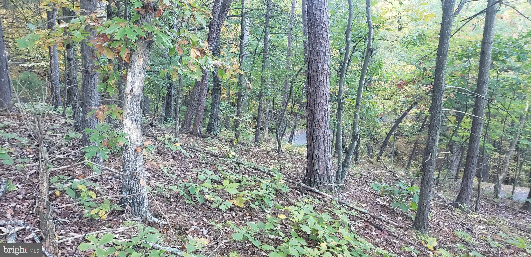 BRYCE  MOUNTAIN  RESORT - Land