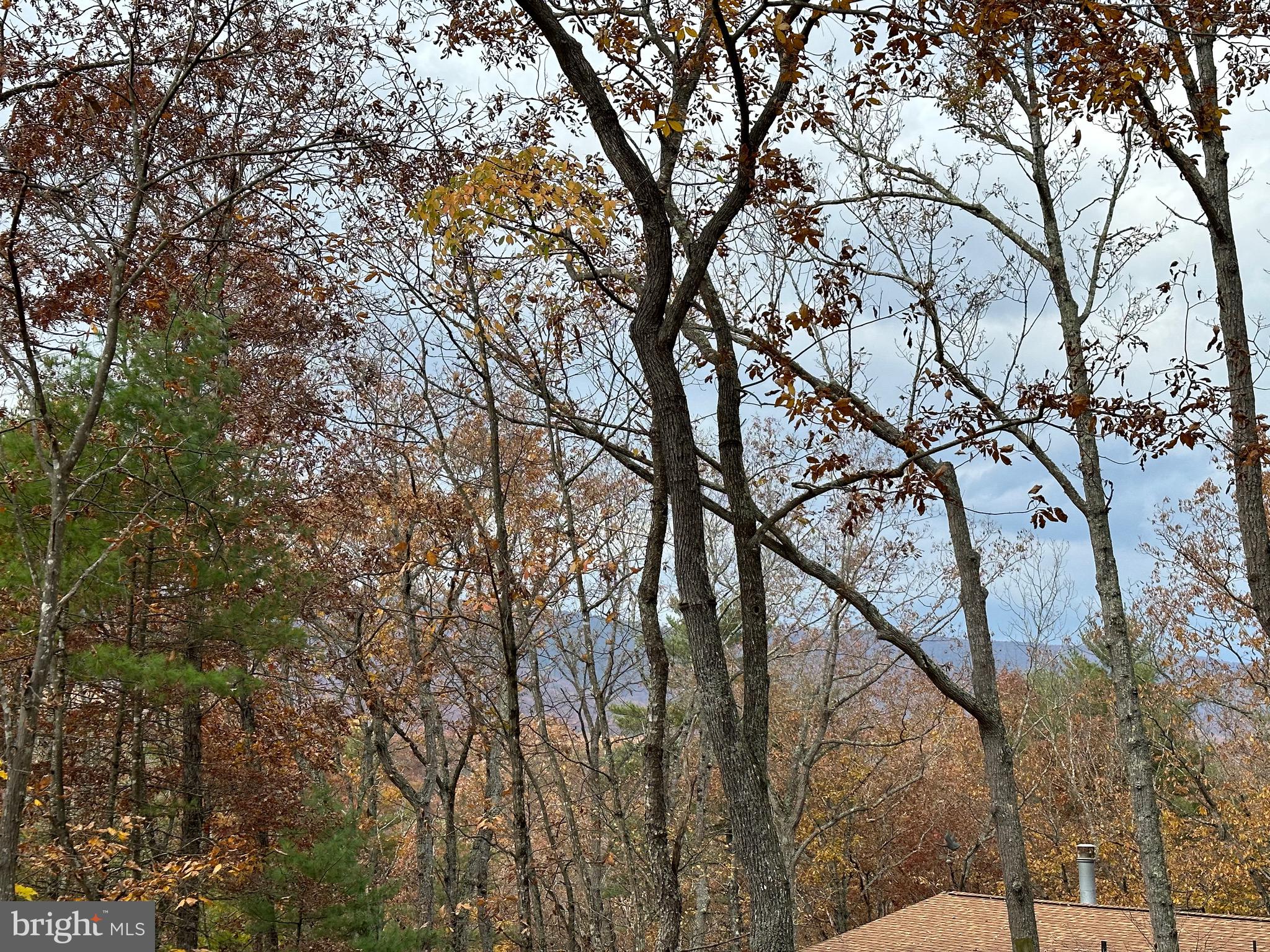 BRYCE  MOUNTAIN  RESORT - Land