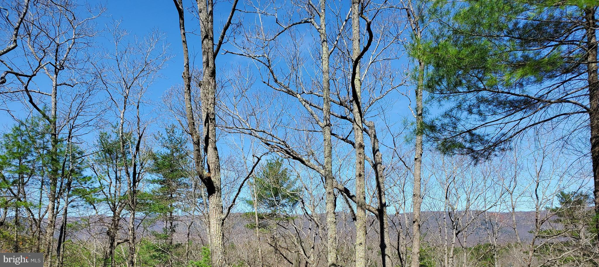 BRYCE  MOUNTAIN  RESORT - Land