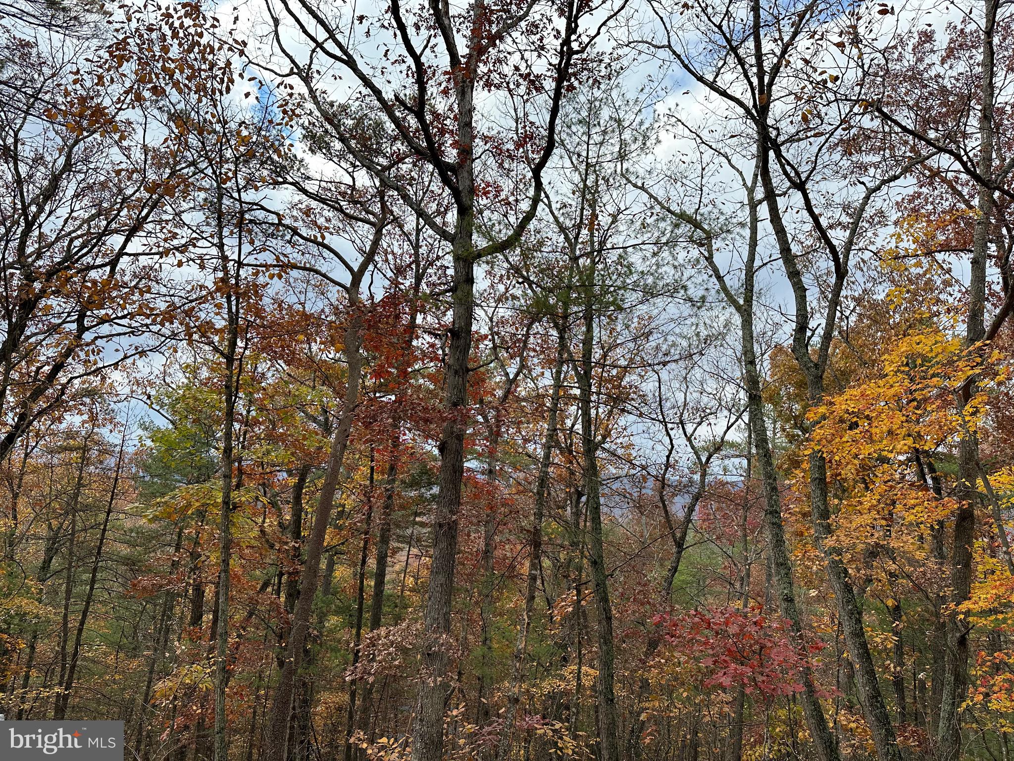 BRYCE  MOUNTAIN  RESORT - Land