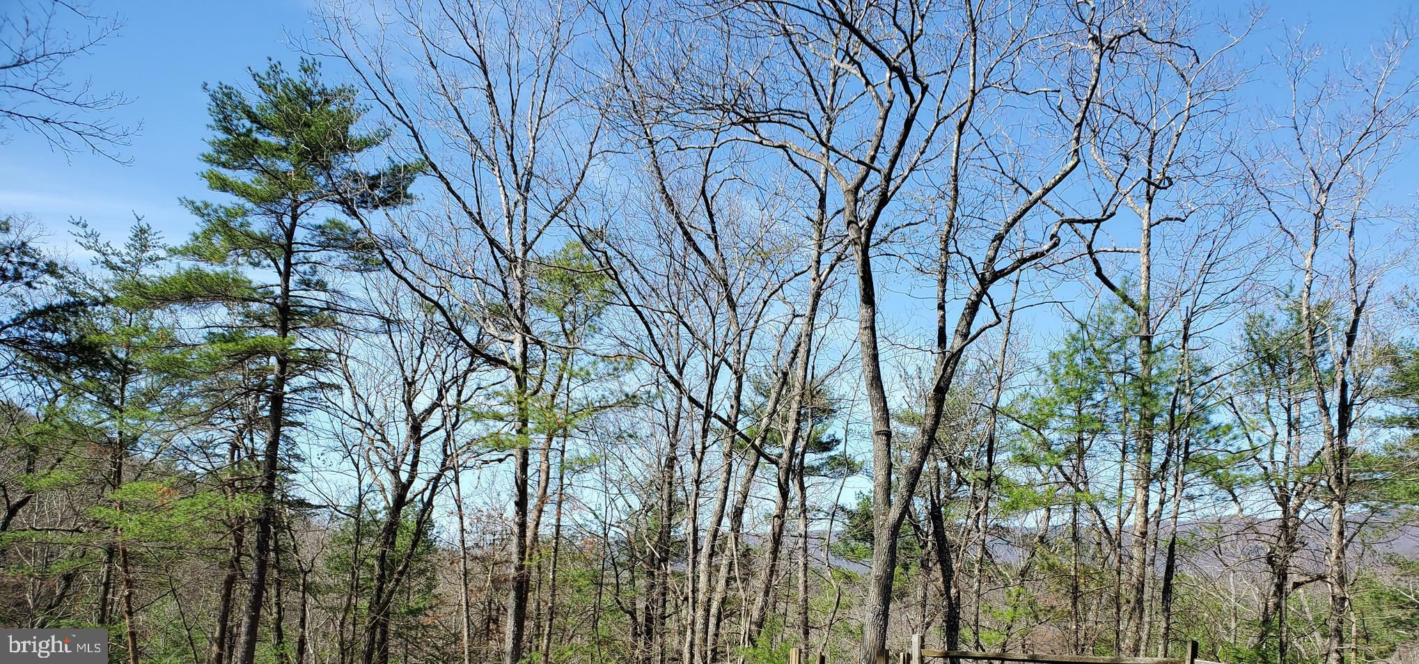 BRYCE  MOUNTAIN  RESORT - Land