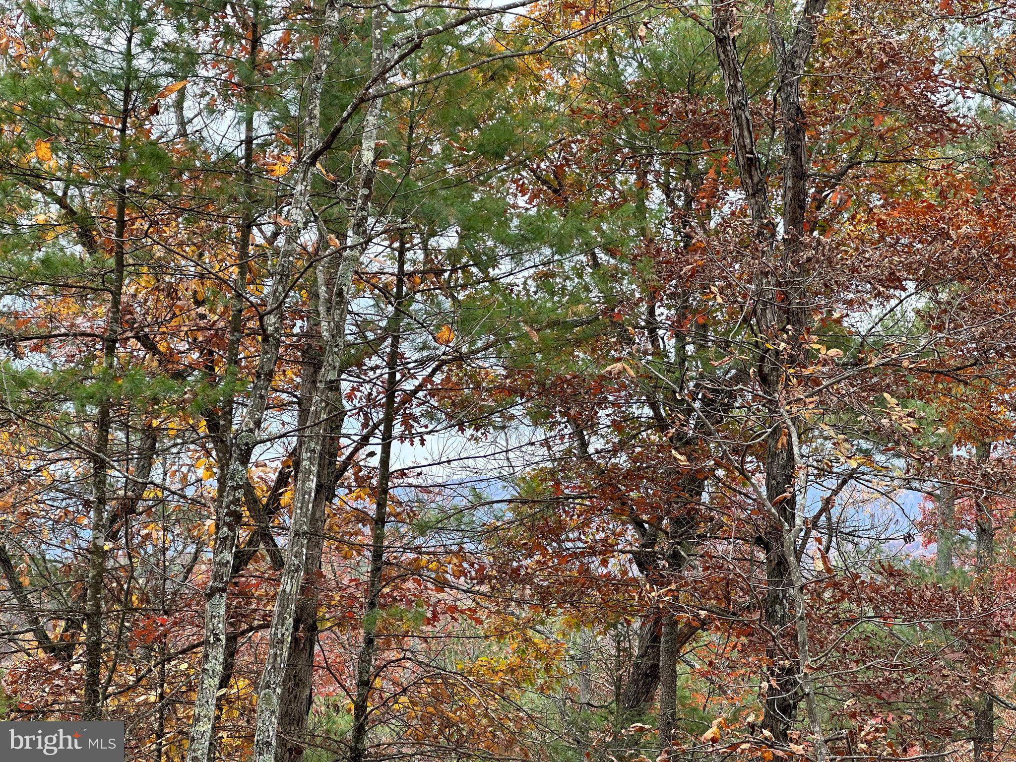 BRYCE  MOUNTAIN  RESORT - Land