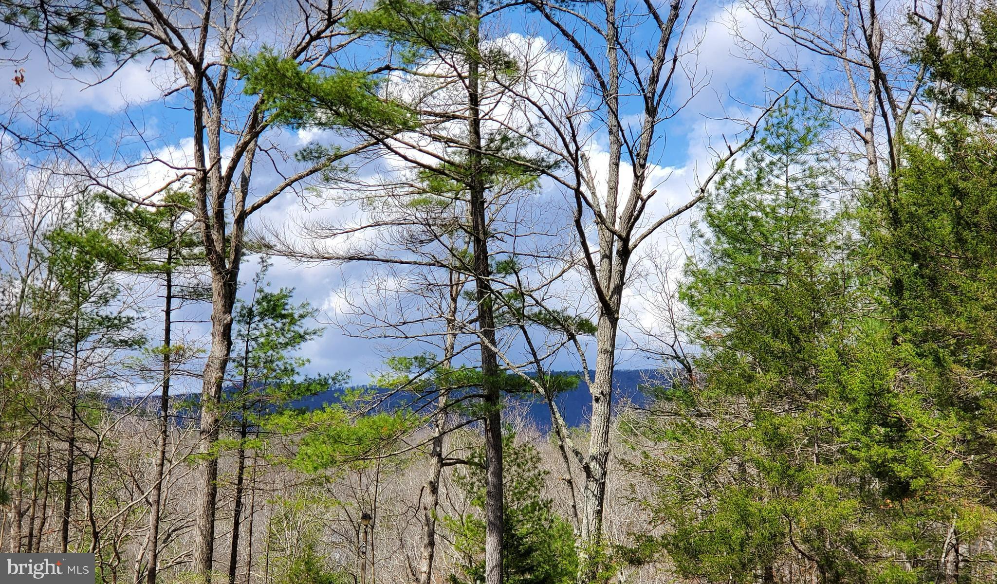 BRYCE  MOUNTAIN  RESORT - Land