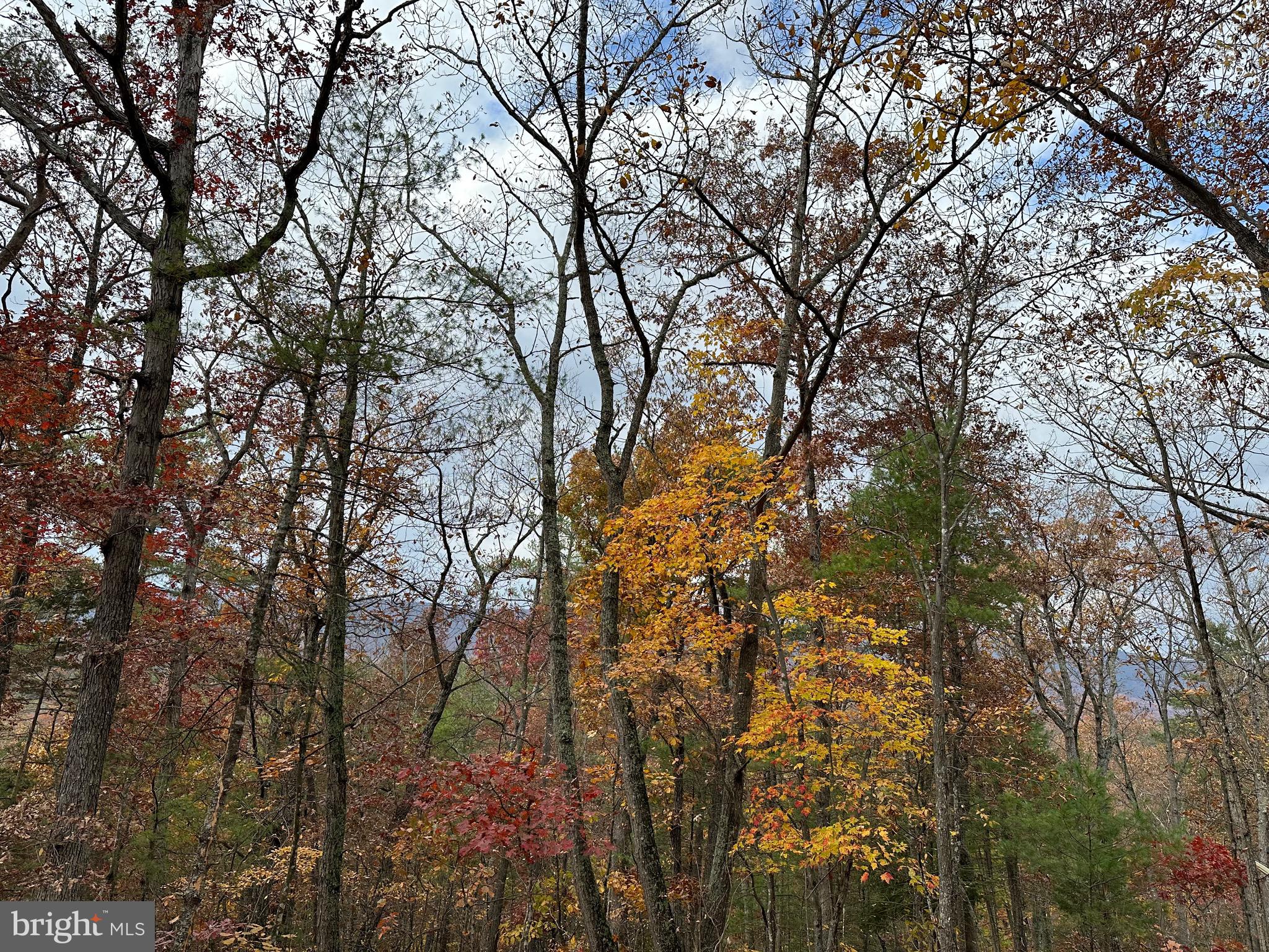 BRYCE  MOUNTAIN  RESORT - Land