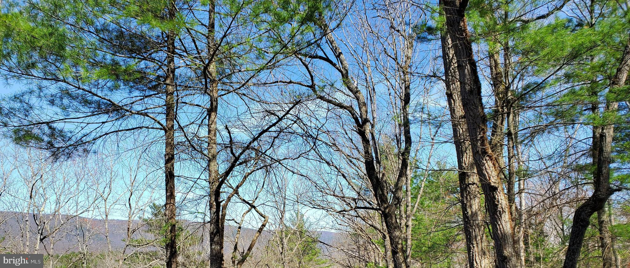 BRYCE  MOUNTAIN  RESORT - Land