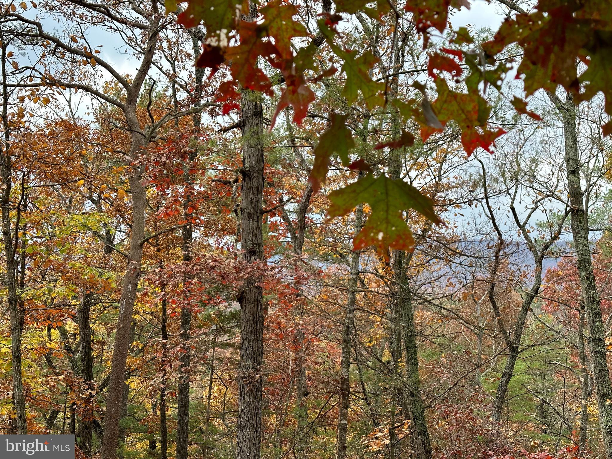 BRYCE  MOUNTAIN  RESORT - Land