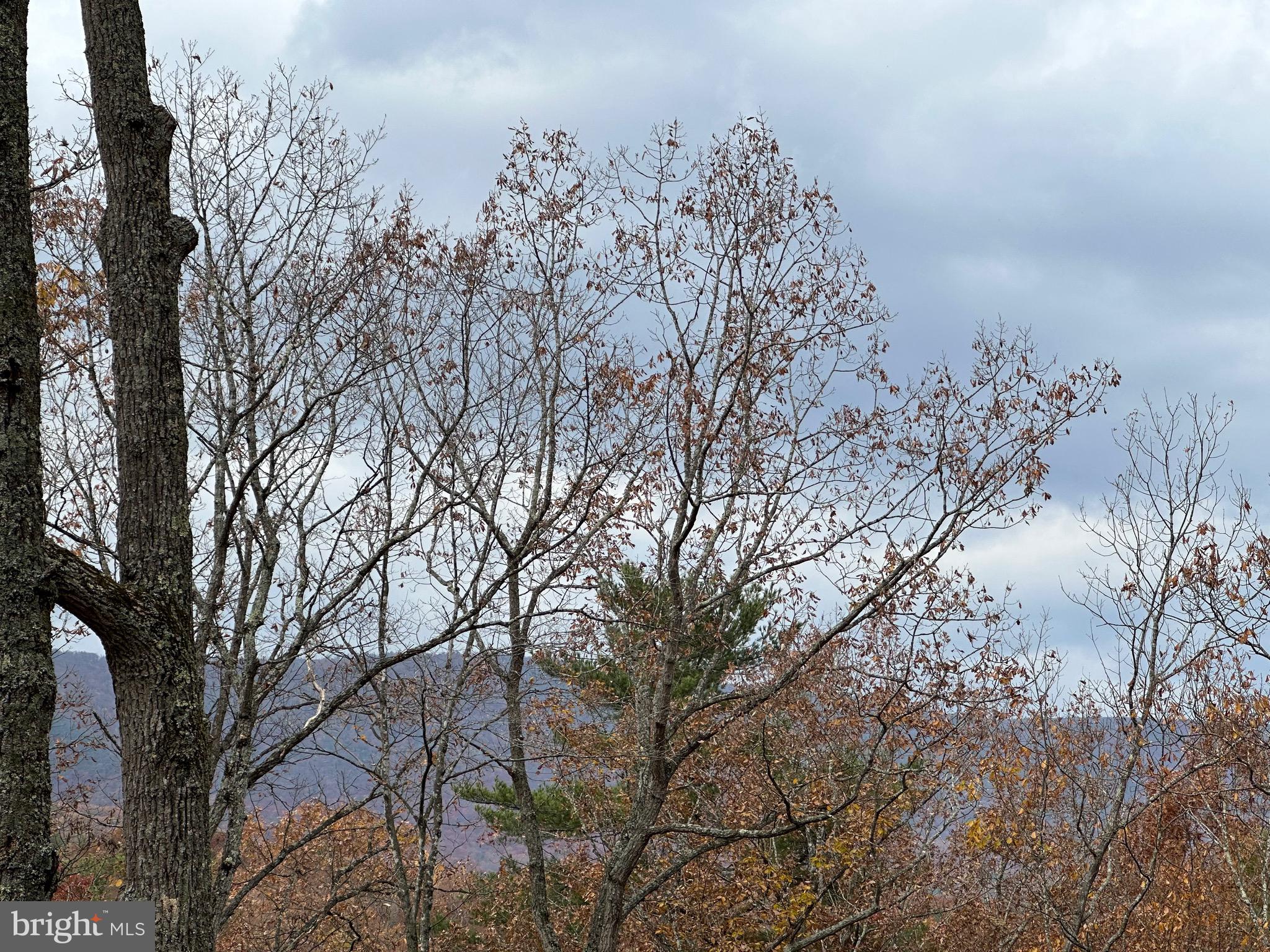 BRYCE  MOUNTAIN  RESORT - Land