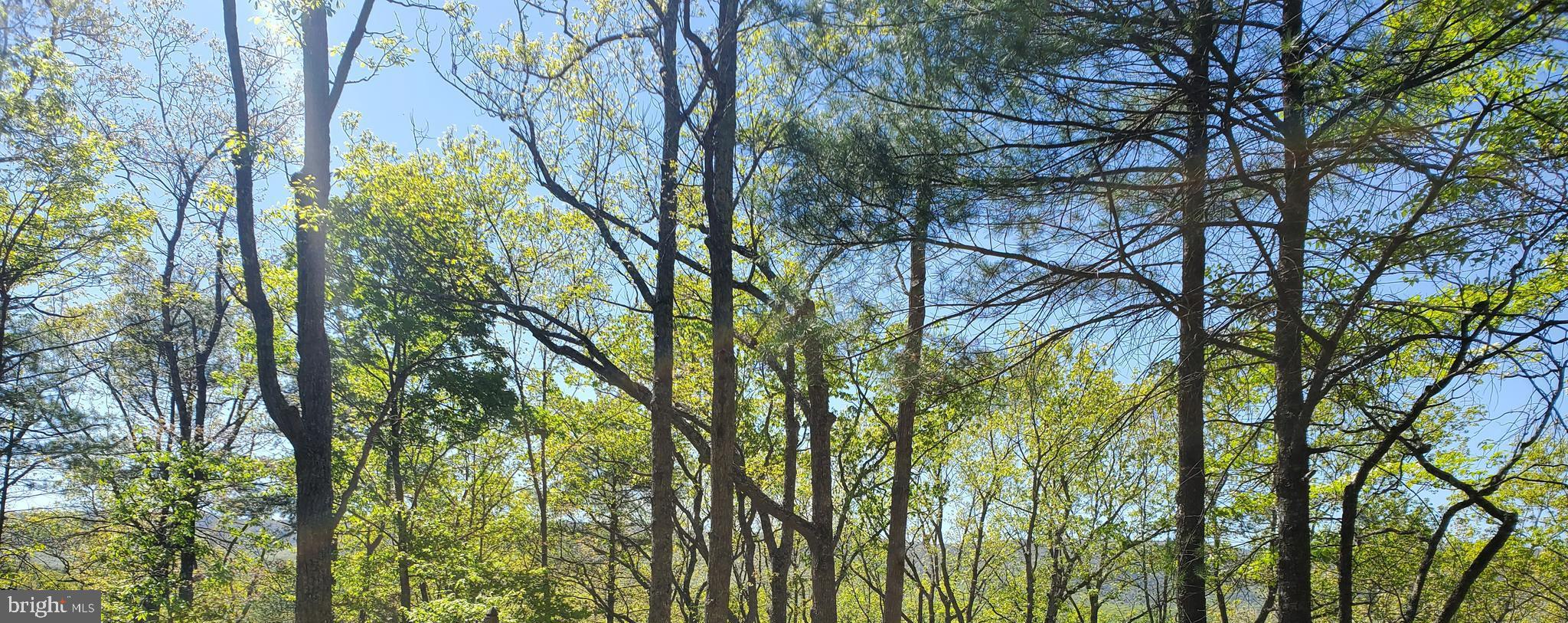 BRYCE  MOUNTAIN  RESORT - Land