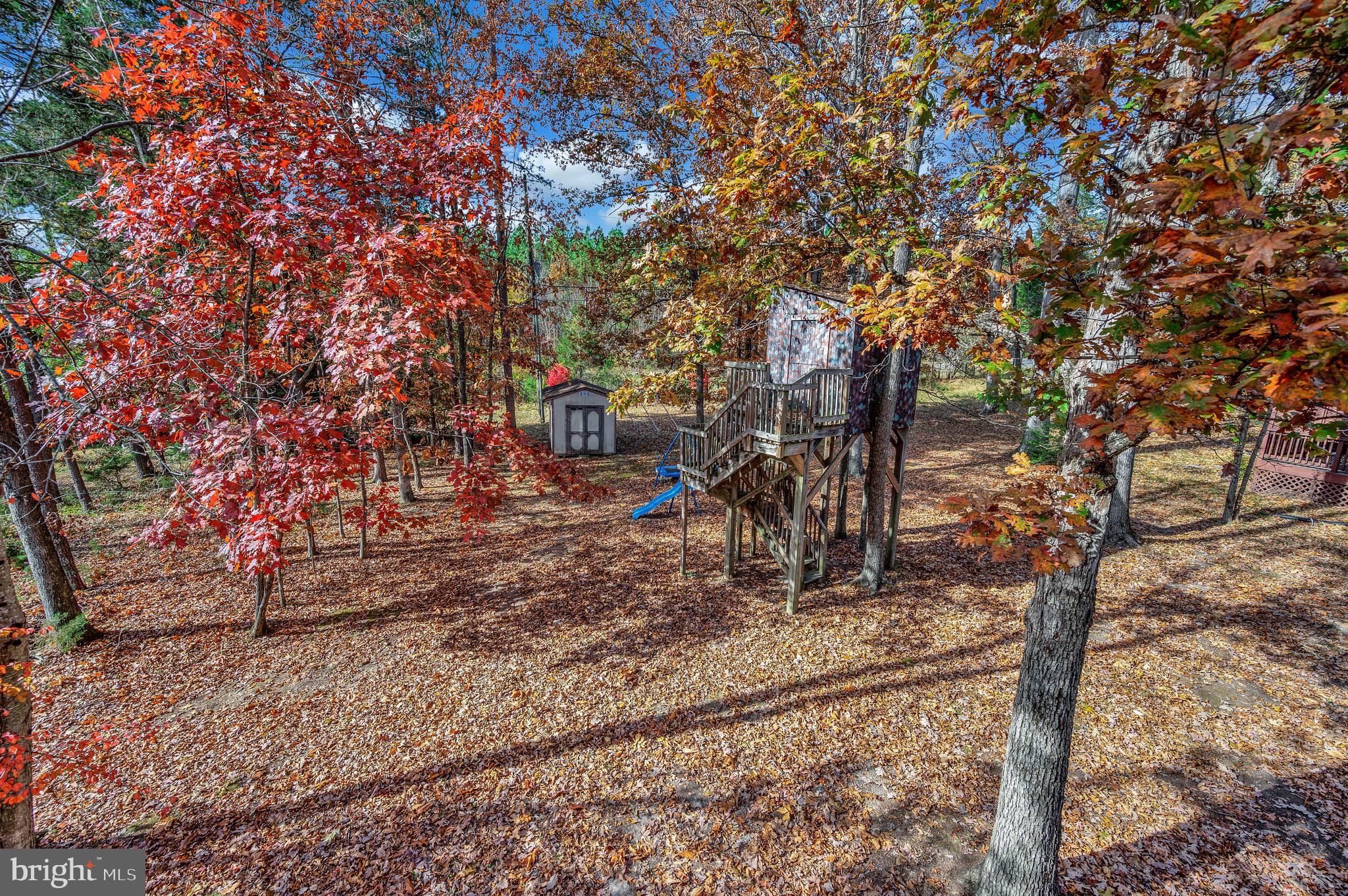 LAKE OF THE WOODS - Residential