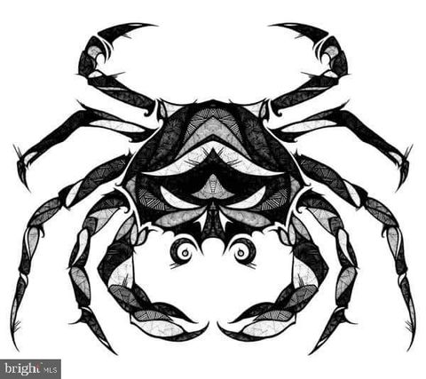 6 WATERMILL COURT STAFFORD VA 22554