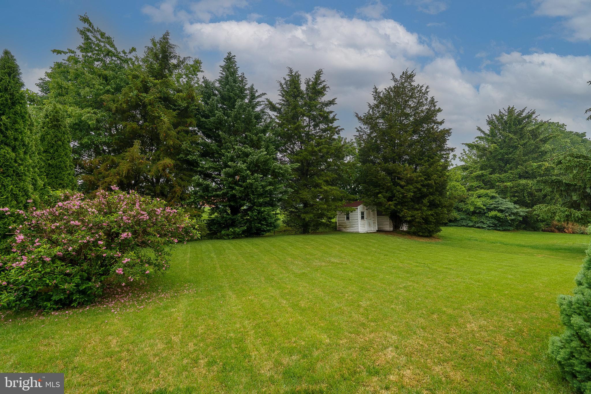 LEWIS HILLS - Residential