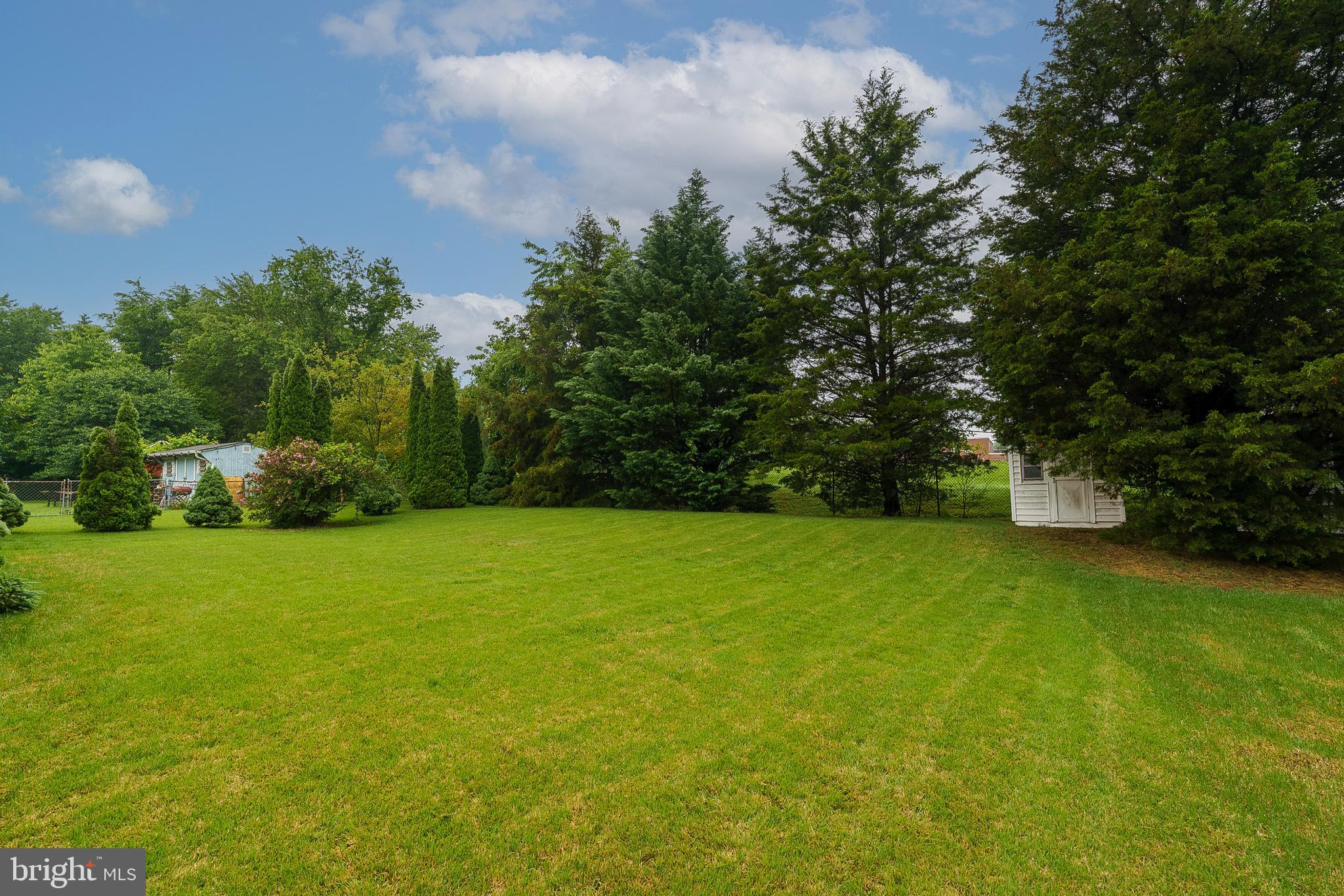 LEWIS HILLS - Residential