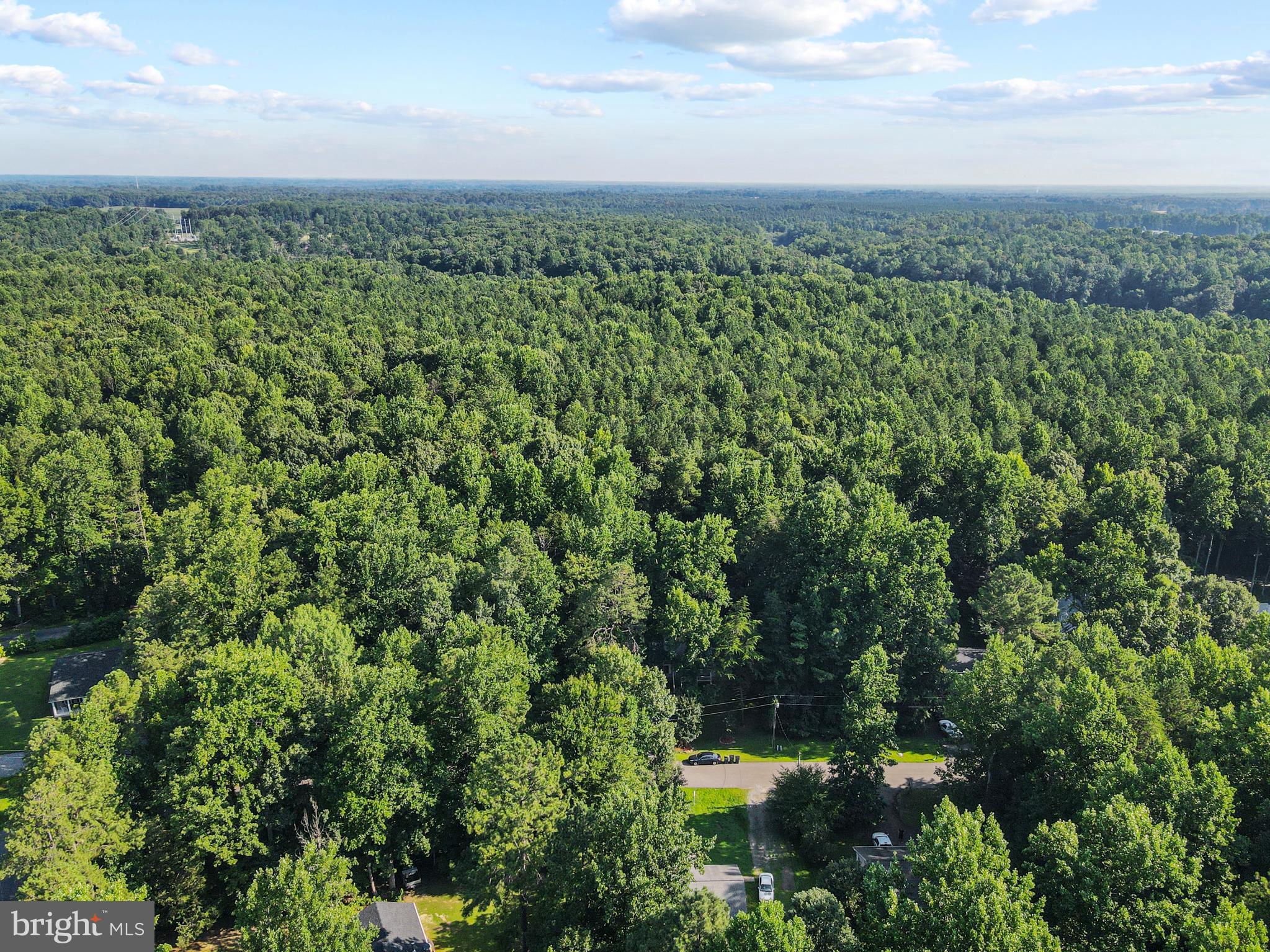 LAKE CAROLINE - Residential