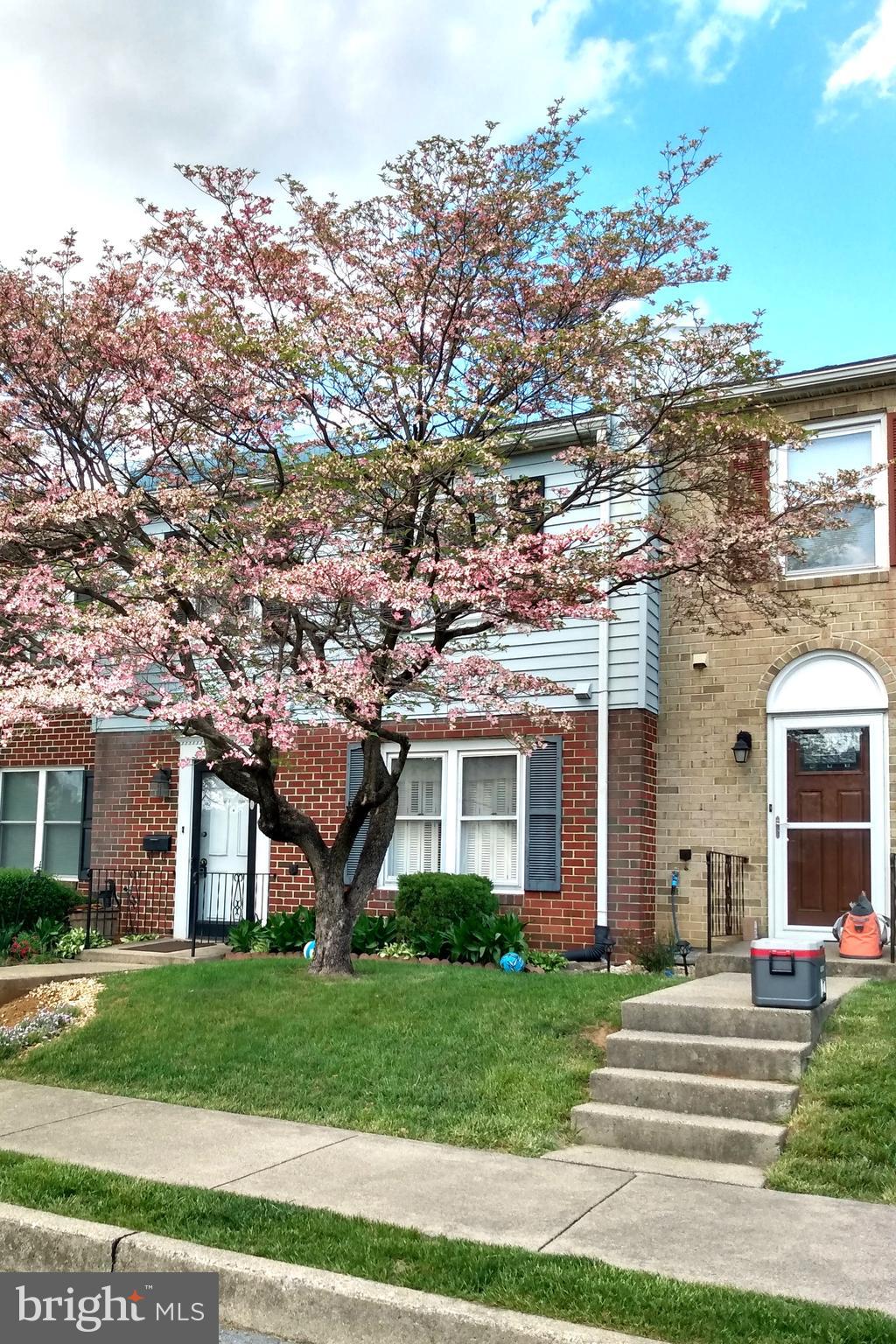 COLDBROOK MEADOWS - Residential