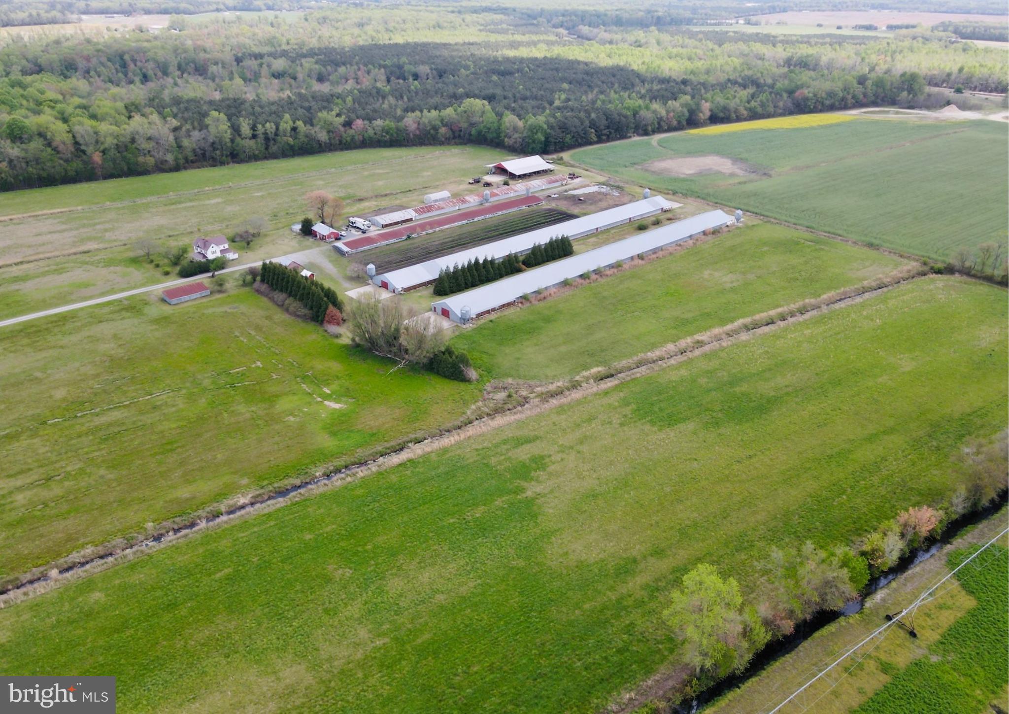 36555 SHEPPARDS CROSSING ROAD