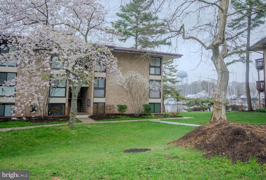 Stunning Waterfront Rental in Severn House – Unmatched Views!
Welcome to the best view Severn House has to offer! This beautifully renovated garden-level condo boasts breathtaking, panoramic views of Back Creek and the marina. Nestled in one of Annapolis' best-kept secrets, this serene retreat offers the perfect blend of comfort and waterfront living.

Step onto your private patio and enjoy your morning coffee while watching the ducks glide across the water. Take a stroll along the marina’s promenade deck or launch your kayak from one of the dedicated water access points.

Inside, this stylishly updated unit features a brand-new kitchen, modern bathrooms, fresh flooring, and a crisp, freshly painted interior—completely renovated to provide a move-in-ready experience.

For boating enthusiasts, an optional 40' x 16' boat slip is available just steps from your patio, making this a dream rental for both sail and power boaters.

Don't miss this rare opportunity to live in a premier waterfront community—schedule your showing today!