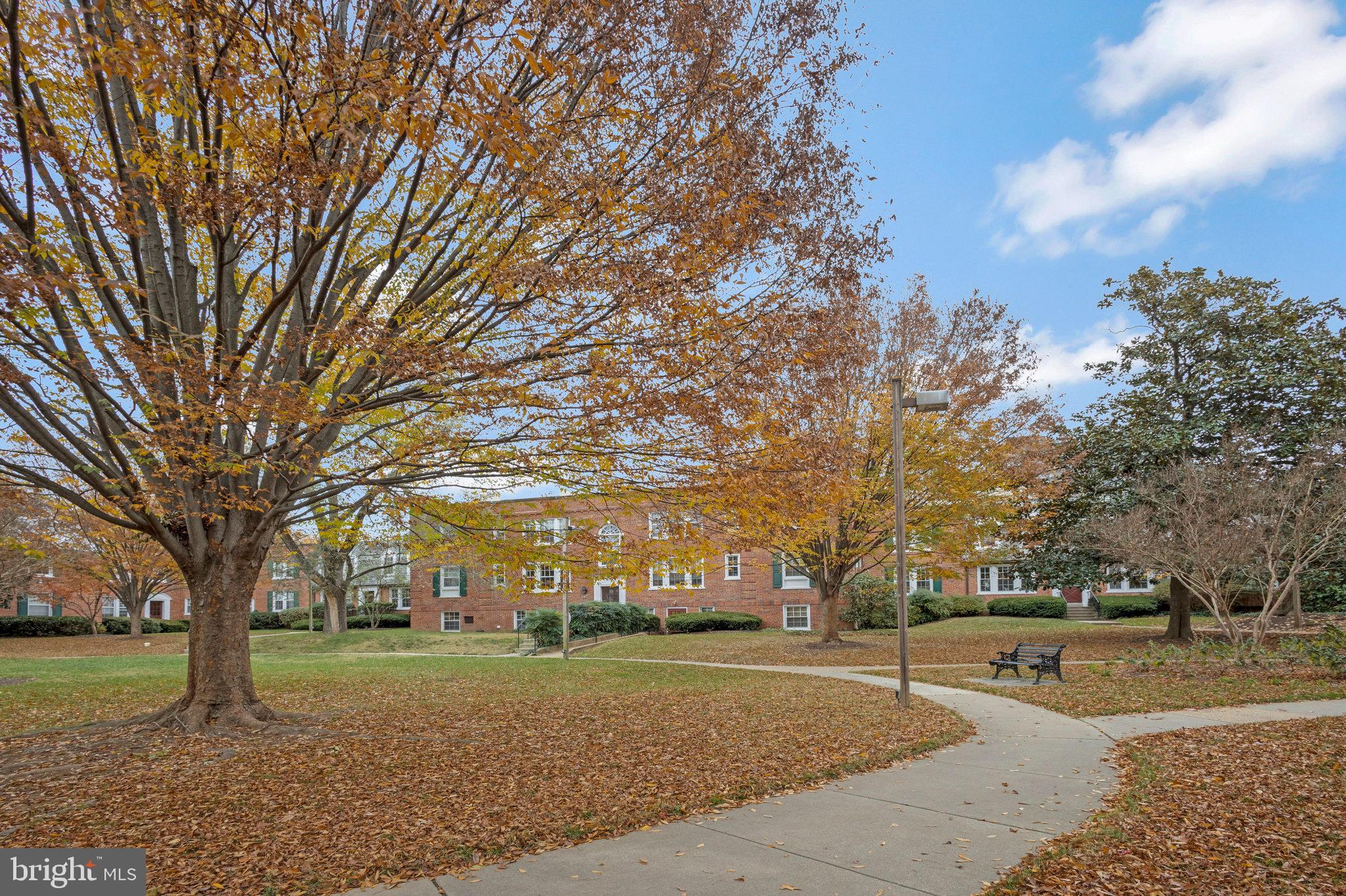 1804 QUEENS LANE 4-207