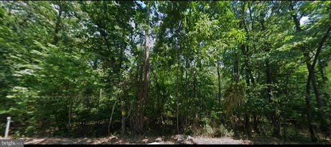 Vacant Land For Sale - Stoney Bottom Road<br/> Warren County, FRONT ROYAL, VA 22630