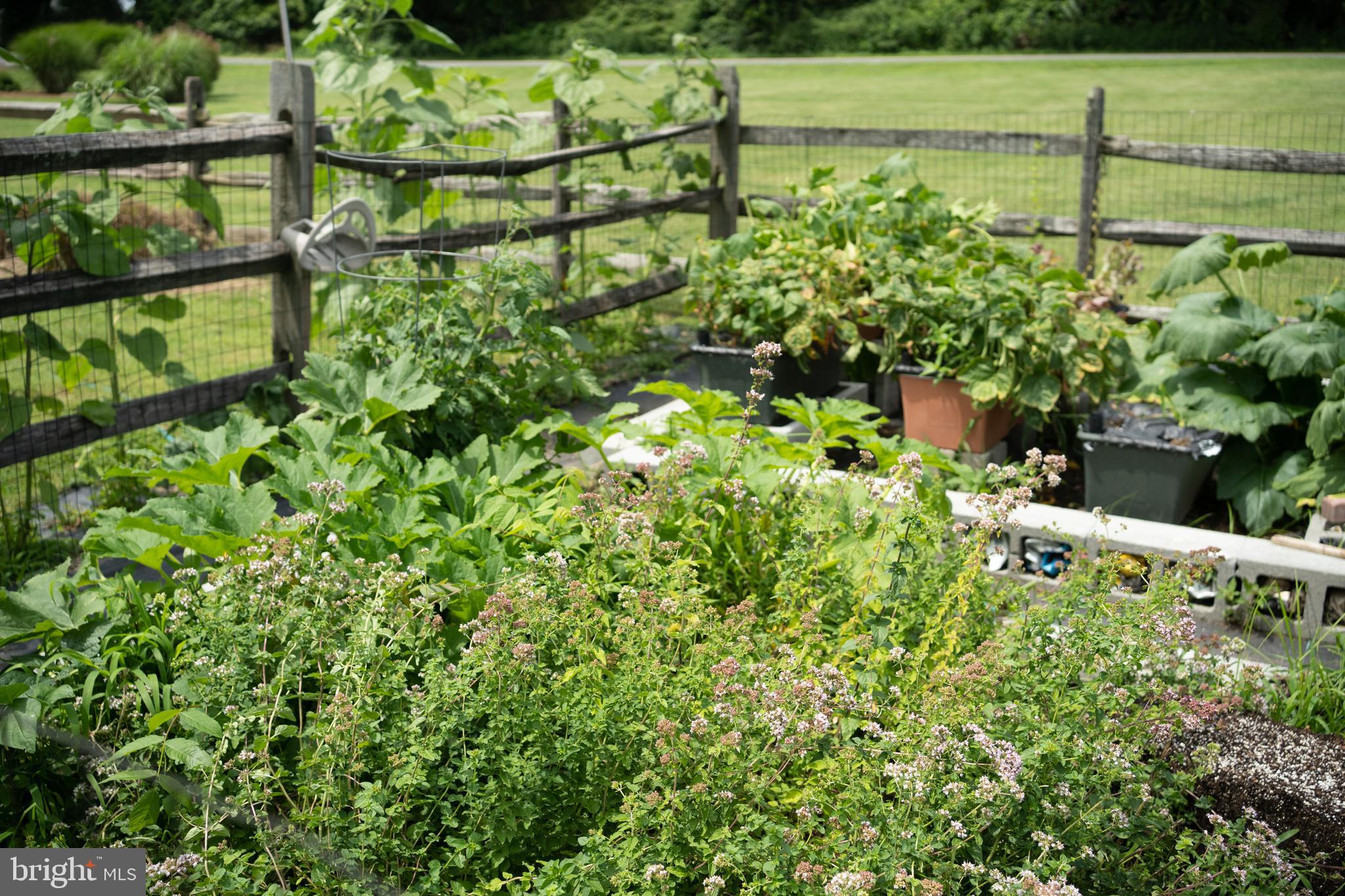 WHITEHALL BEACH - Residential