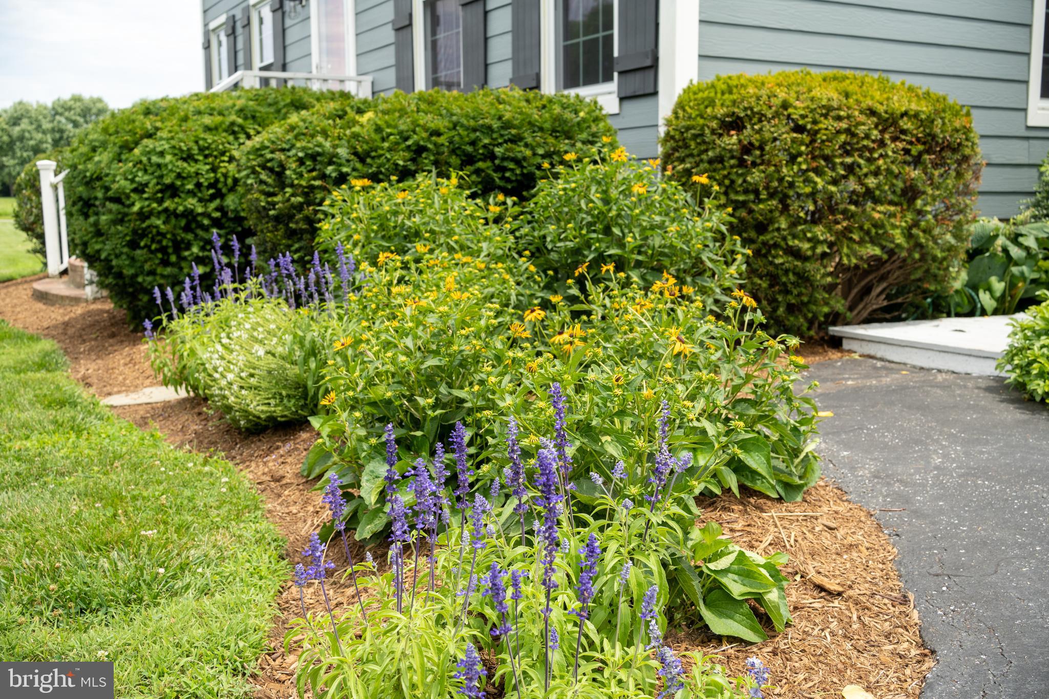 WHITEHALL BEACH - Residential