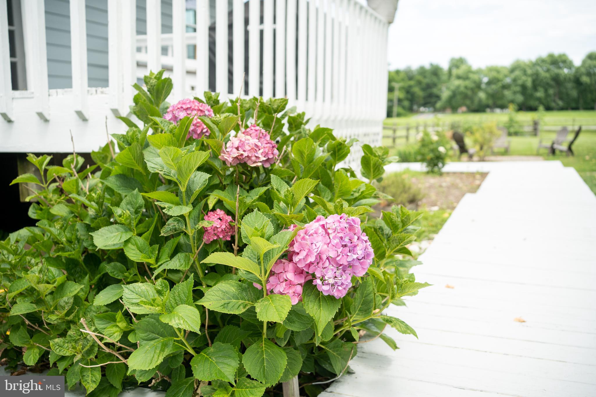 WHITEHALL BEACH - Residential