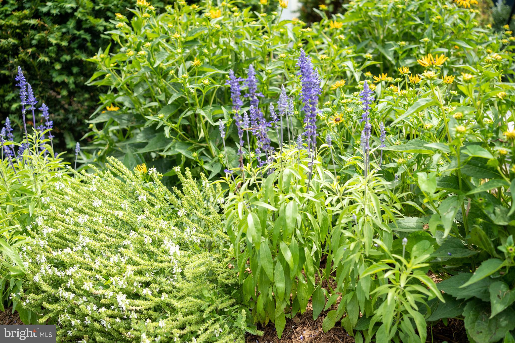 WHITEHALL BEACH - Residential