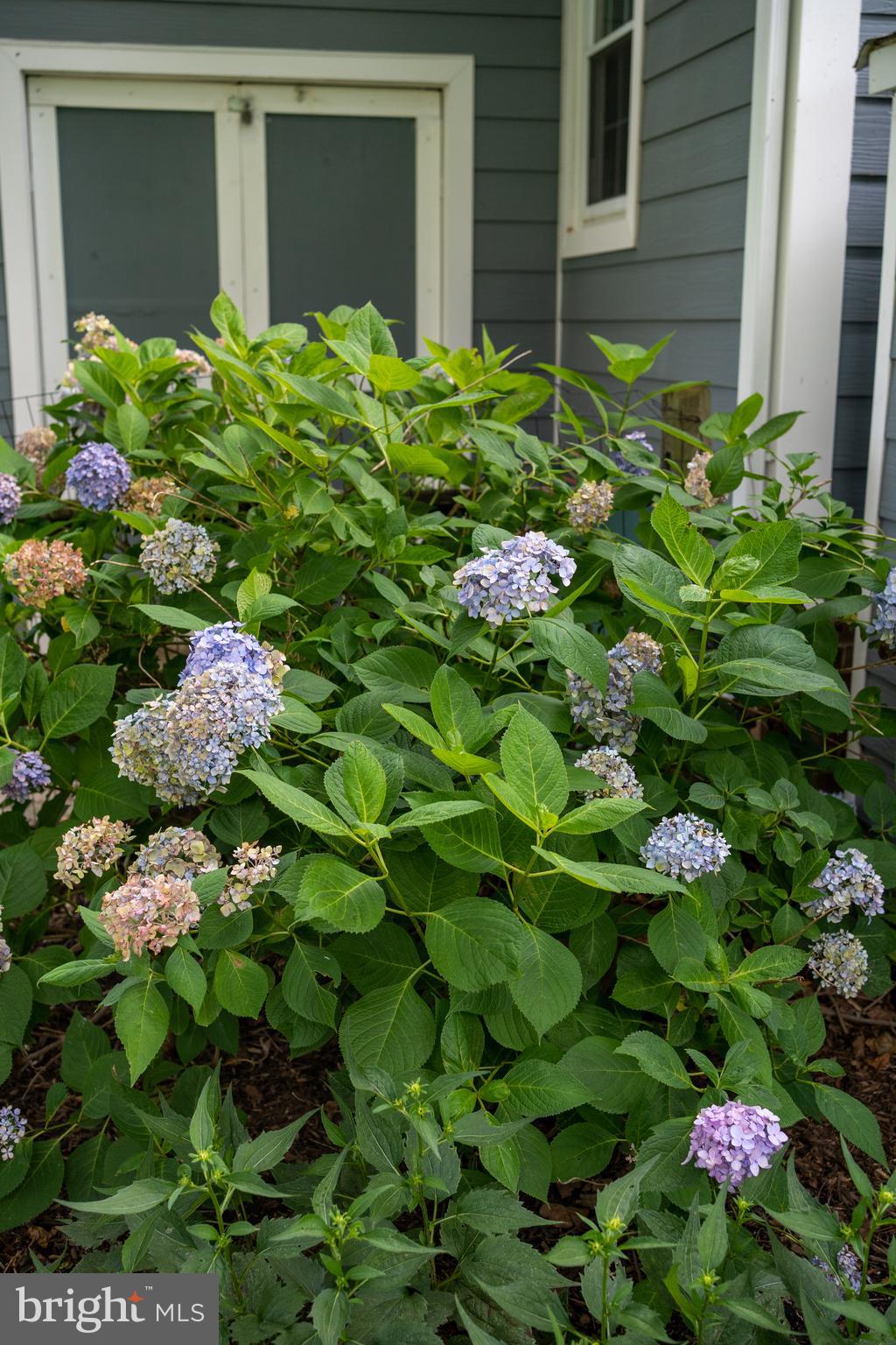 WHITEHALL BEACH - Residential