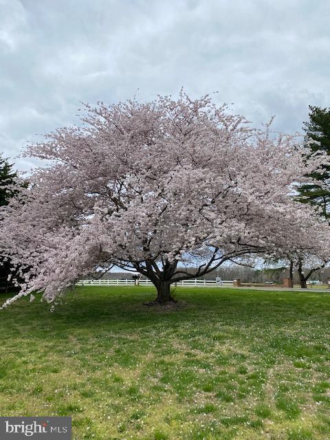 WHITEHALL BEACH - Residential