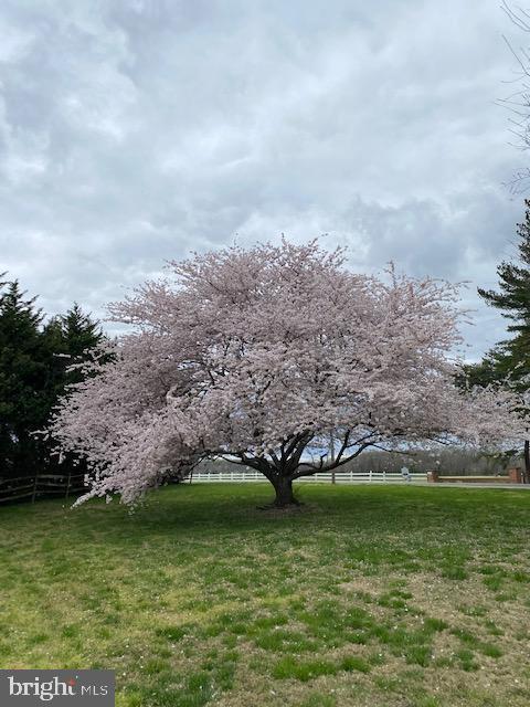 WHITEHALL BEACH - Residential