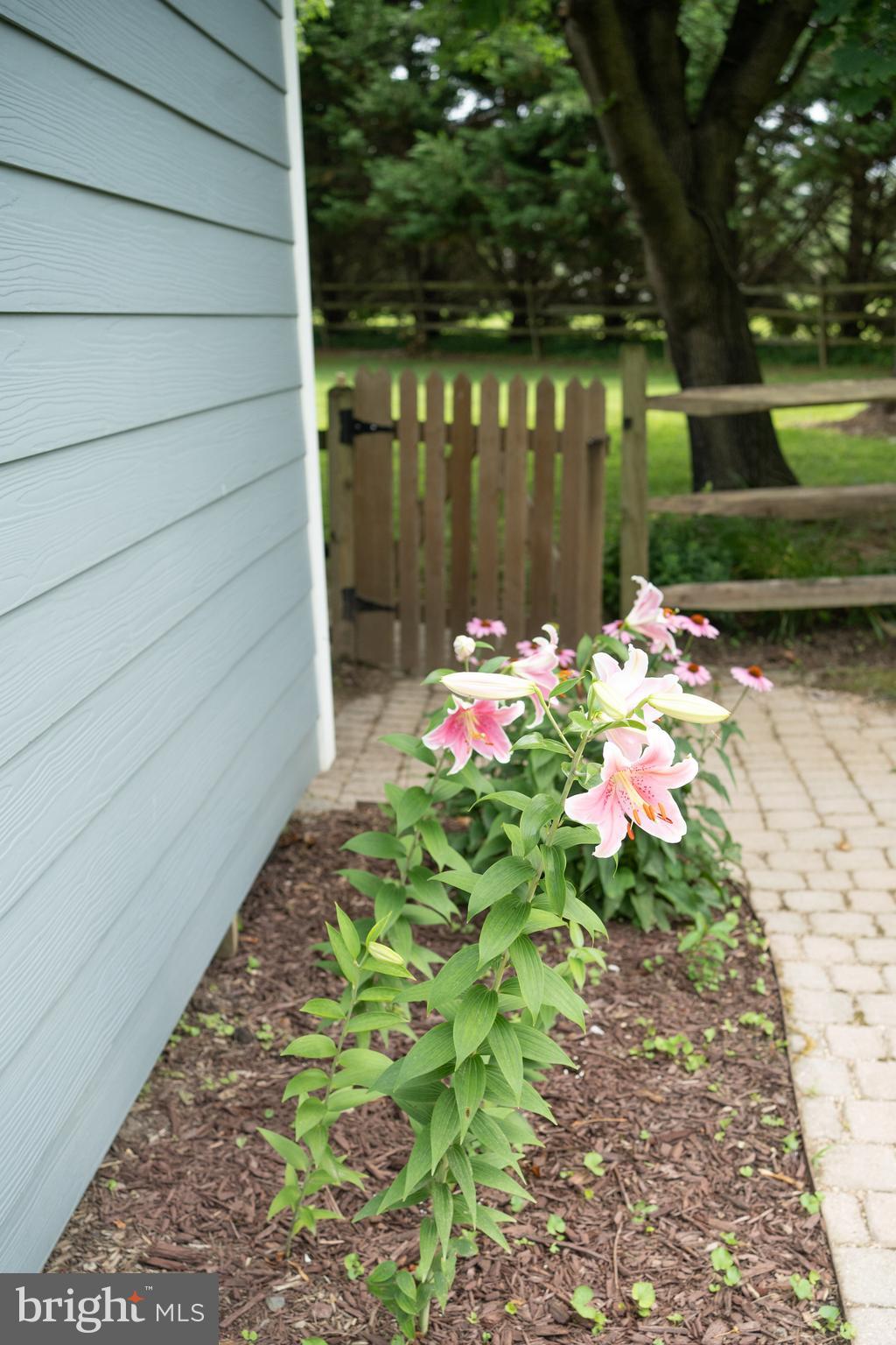 WHITEHALL BEACH - Residential