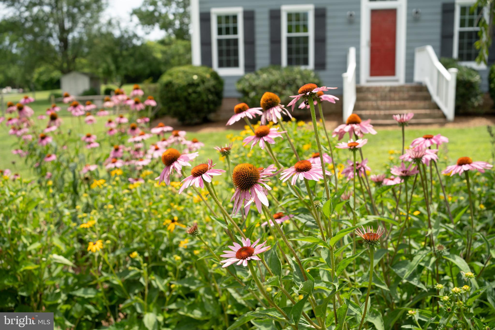 WHITEHALL BEACH - Residential