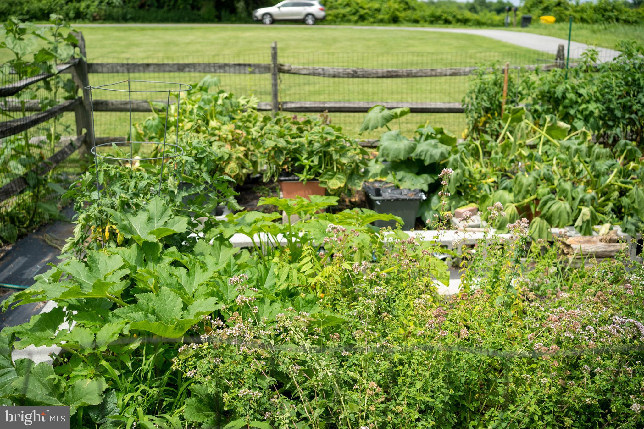 WHITEHALL BEACH - Residential