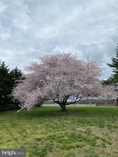 WHITEHALL BEACH - Residential