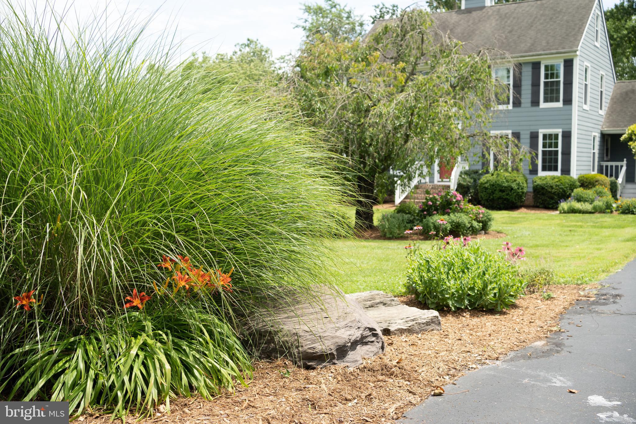 WHITEHALL BEACH - Residential