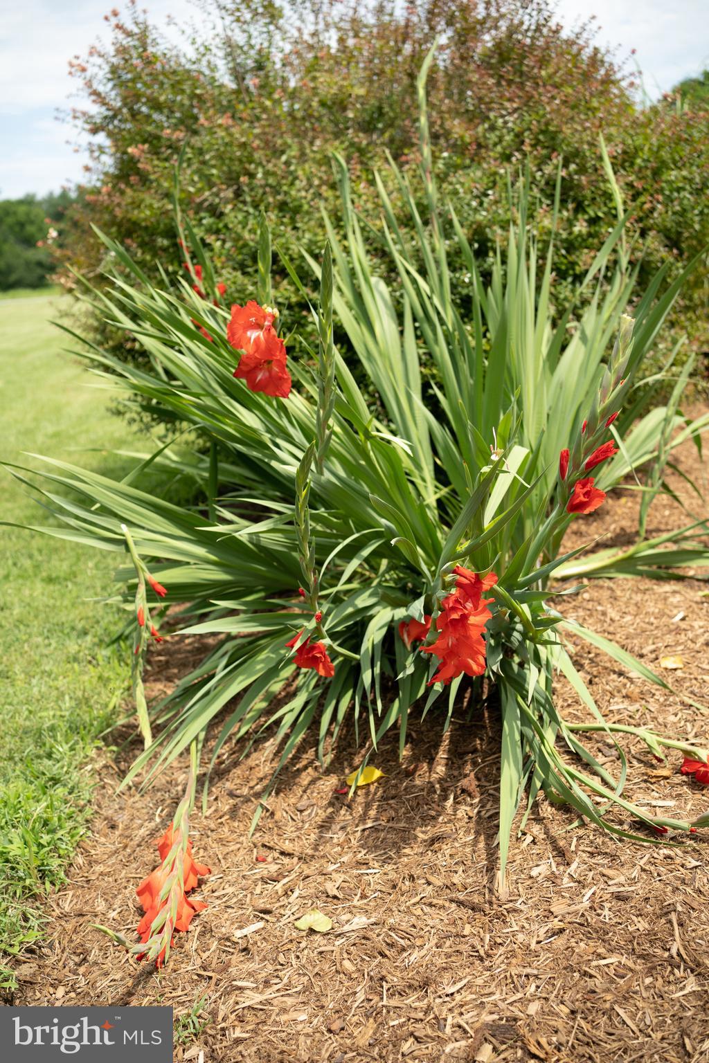 WHITEHALL BEACH - Residential