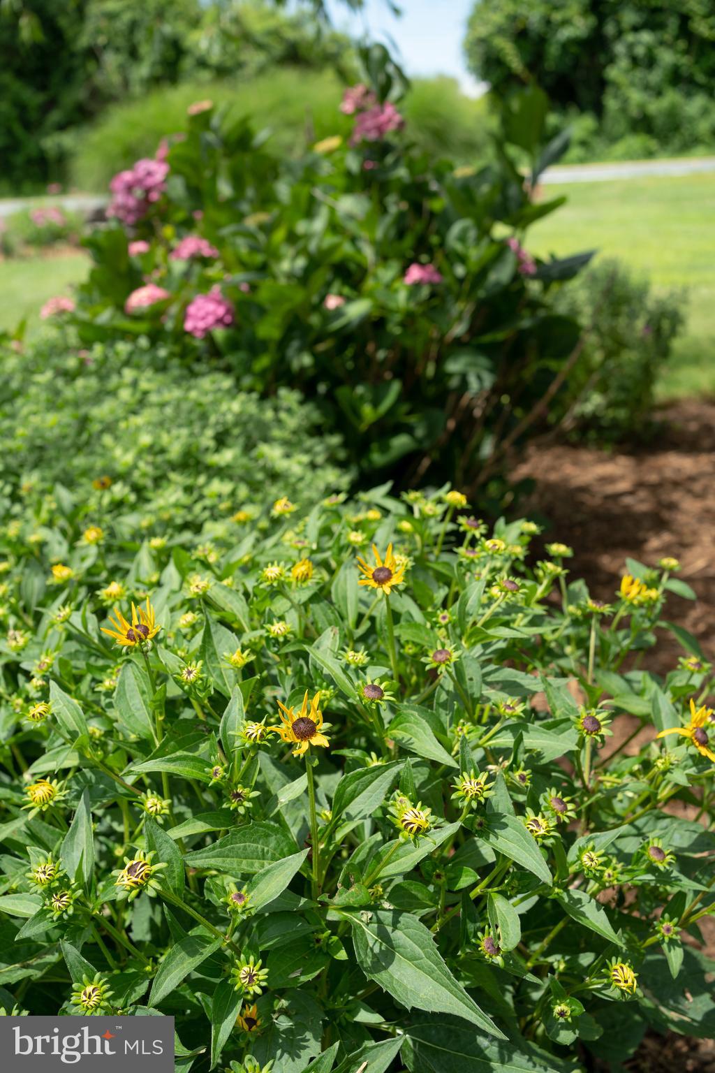 WHITEHALL BEACH - Residential