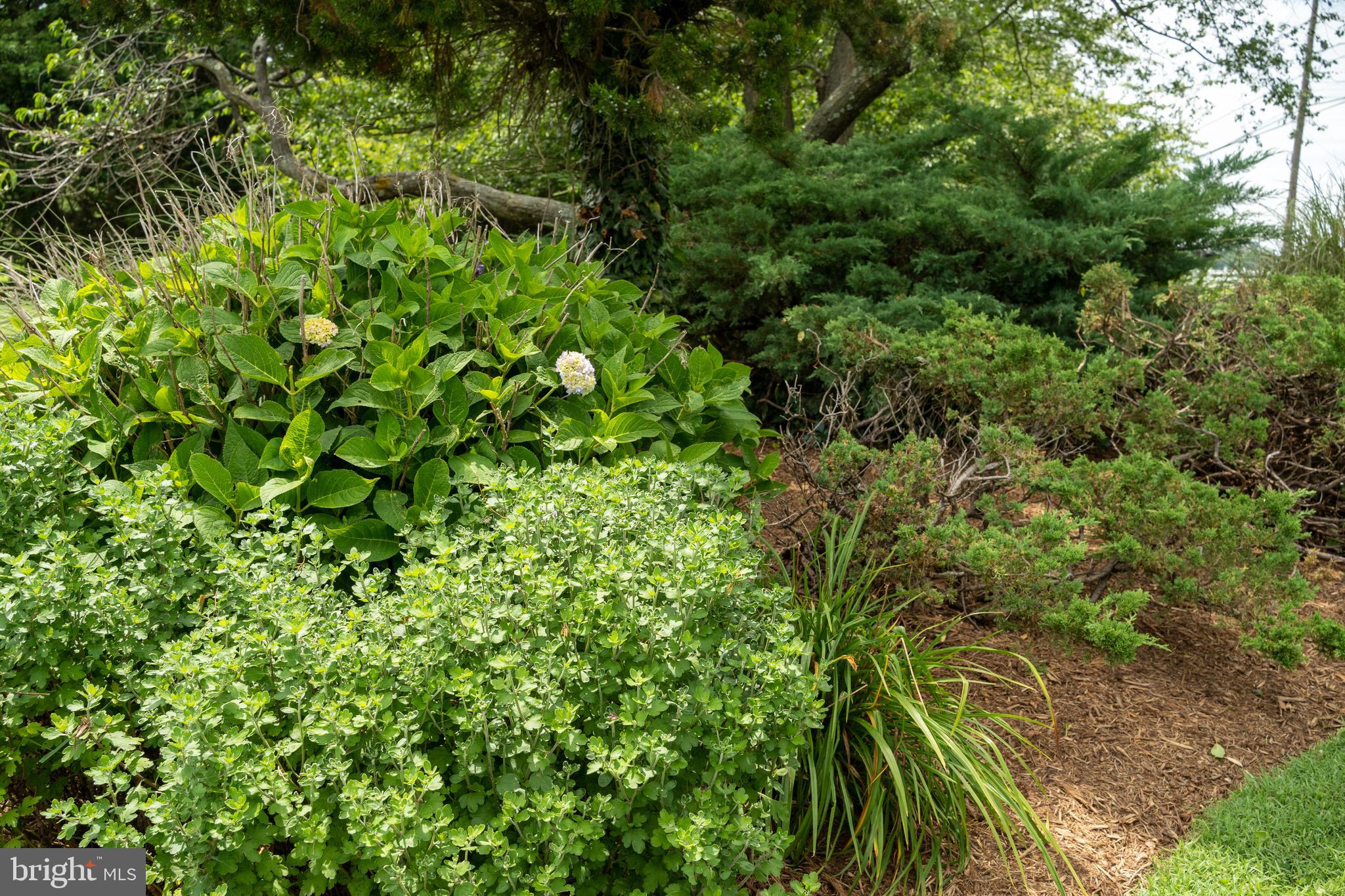 WHITEHALL BEACH - Residential