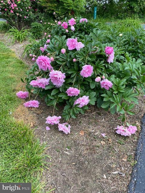 WHITEHALL BEACH - Residential